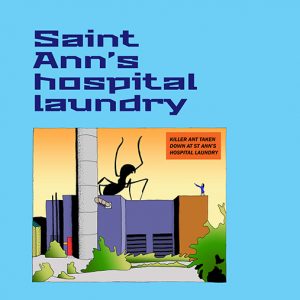 Saint Ann's Hospital Laundry
